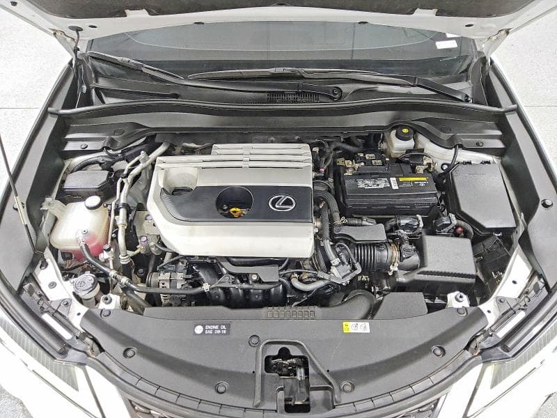 2019 LEXUS UX 200 F SPORT 12