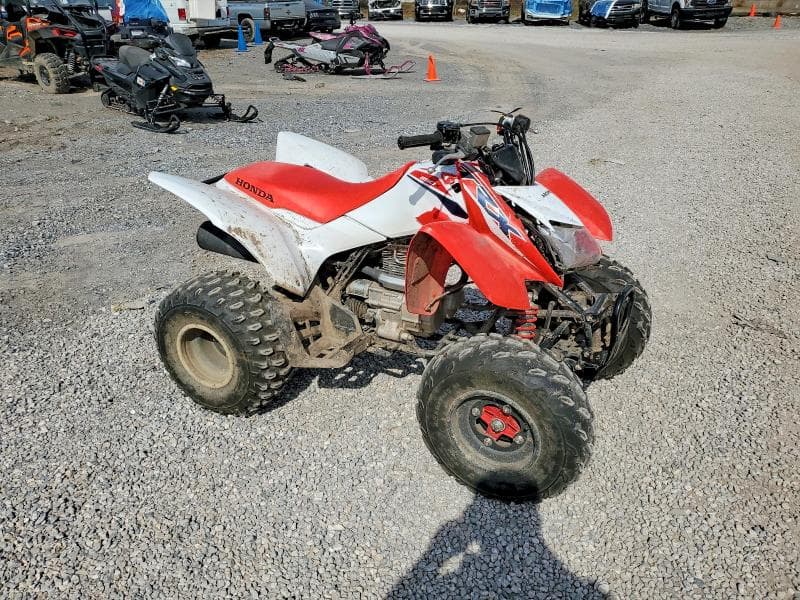 2024 HONDA TRX250 X ATV X - 1