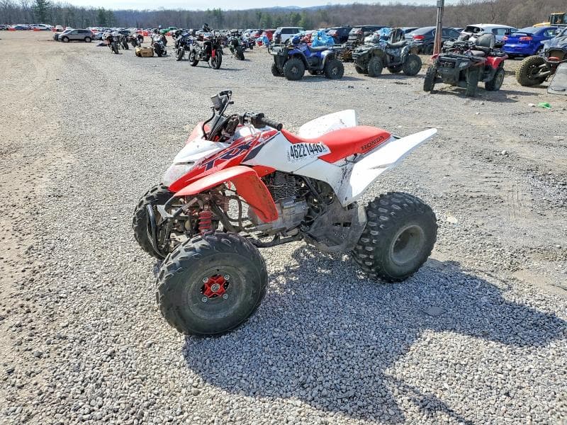 2024 HONDA TRX250 X ATV X 2