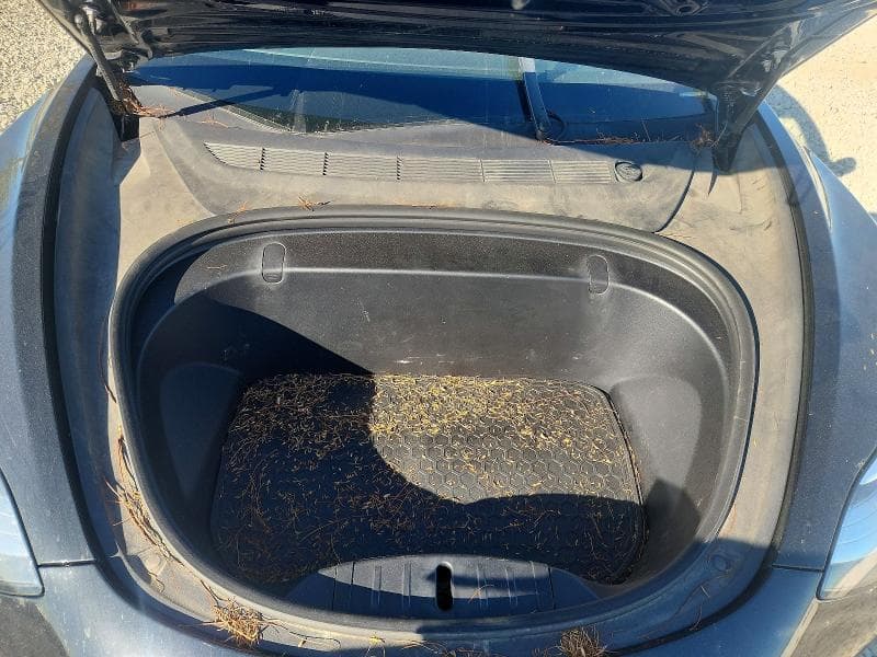 2018 TESLA MODEL 3 11