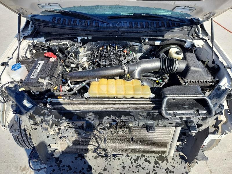 2019 FORD EXPEDITION LIMITED LIMITED 12