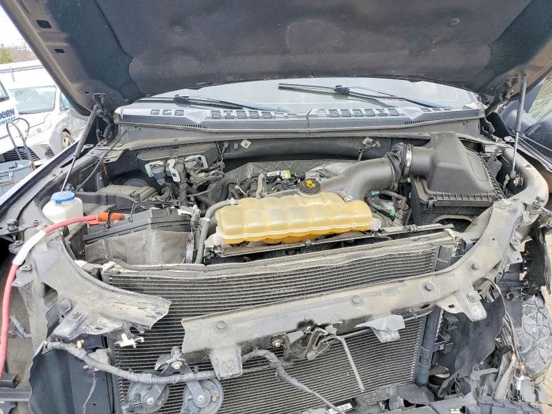 2019 FORD F150 SUPERCREW SUPERCREW 11