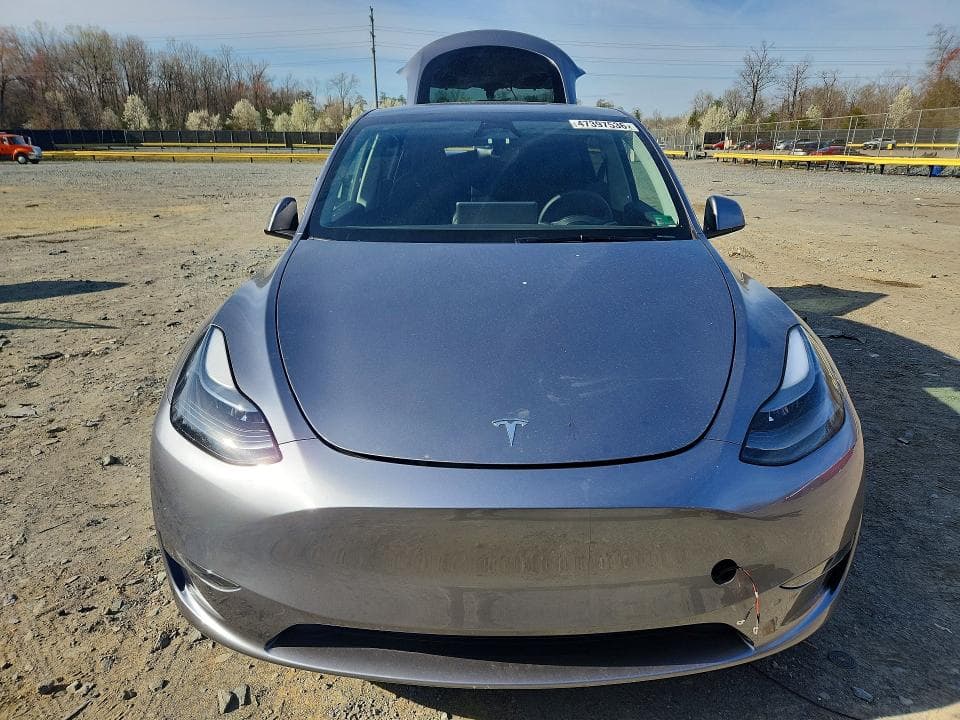 2024 TESLA MODEL Y 5