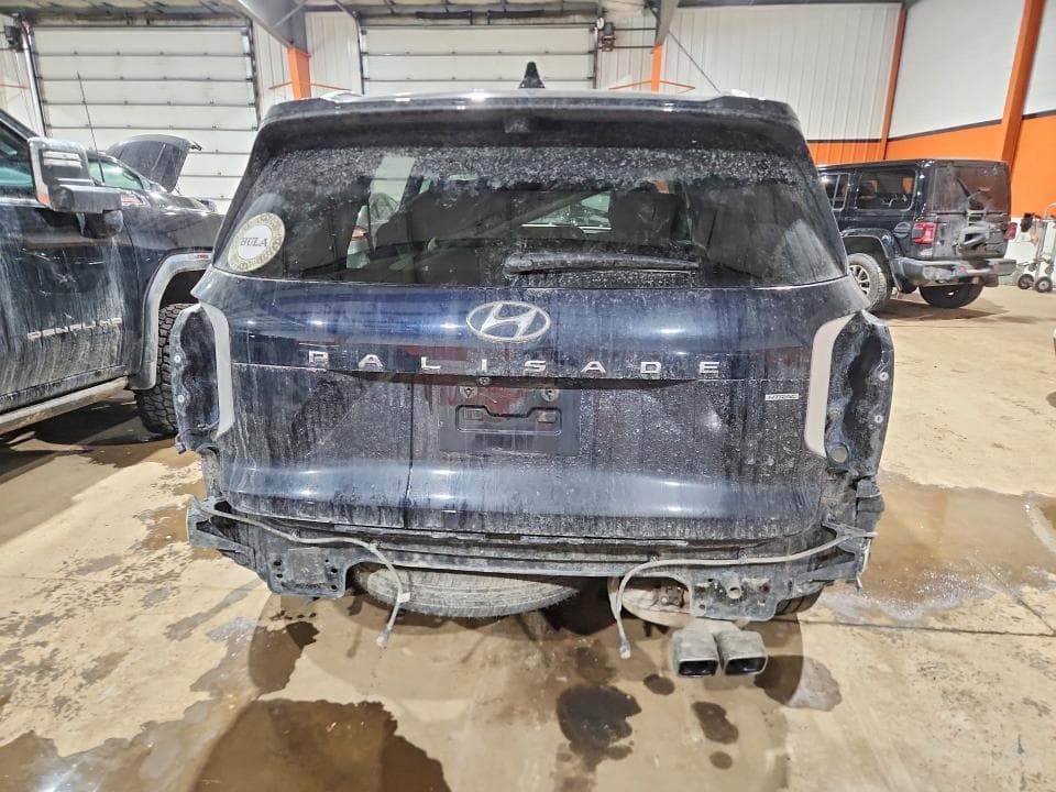2023 HYUNDAI PALISADE LIMITED 6