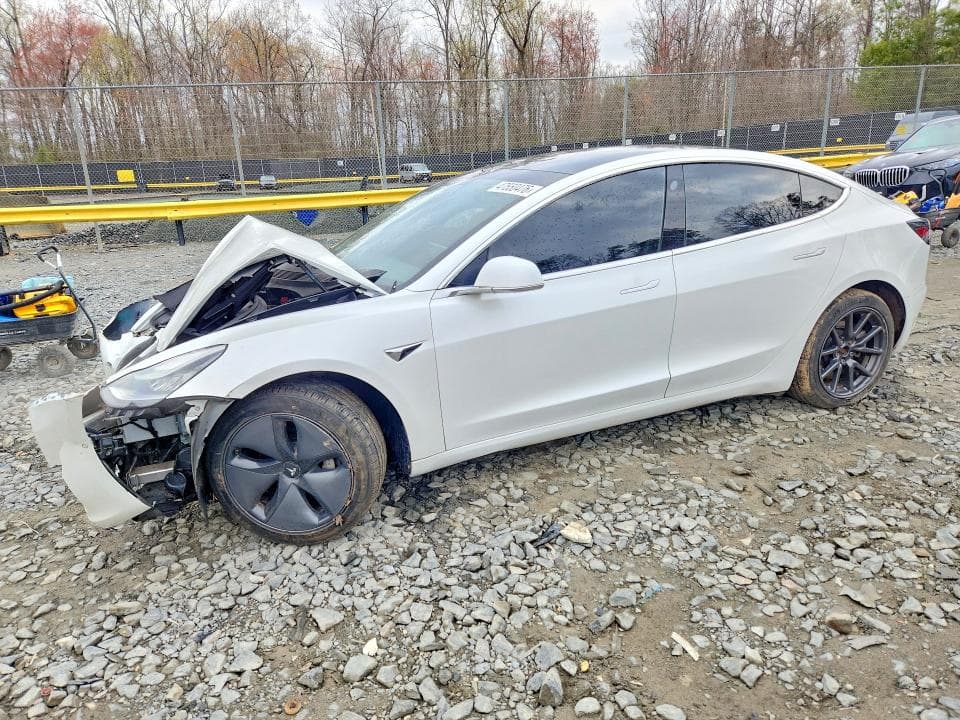 2019 TESLA MDL 3 - 1