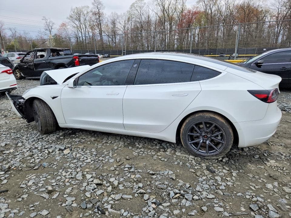2019 TESLA MDL 3 2