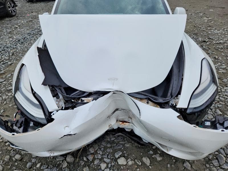 2019 TESLA MDL 3 11
