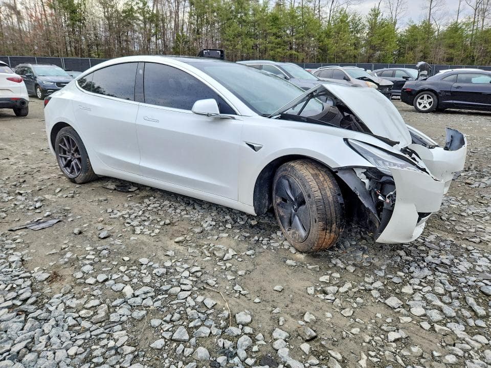 2019 TESLA MDL 3 4