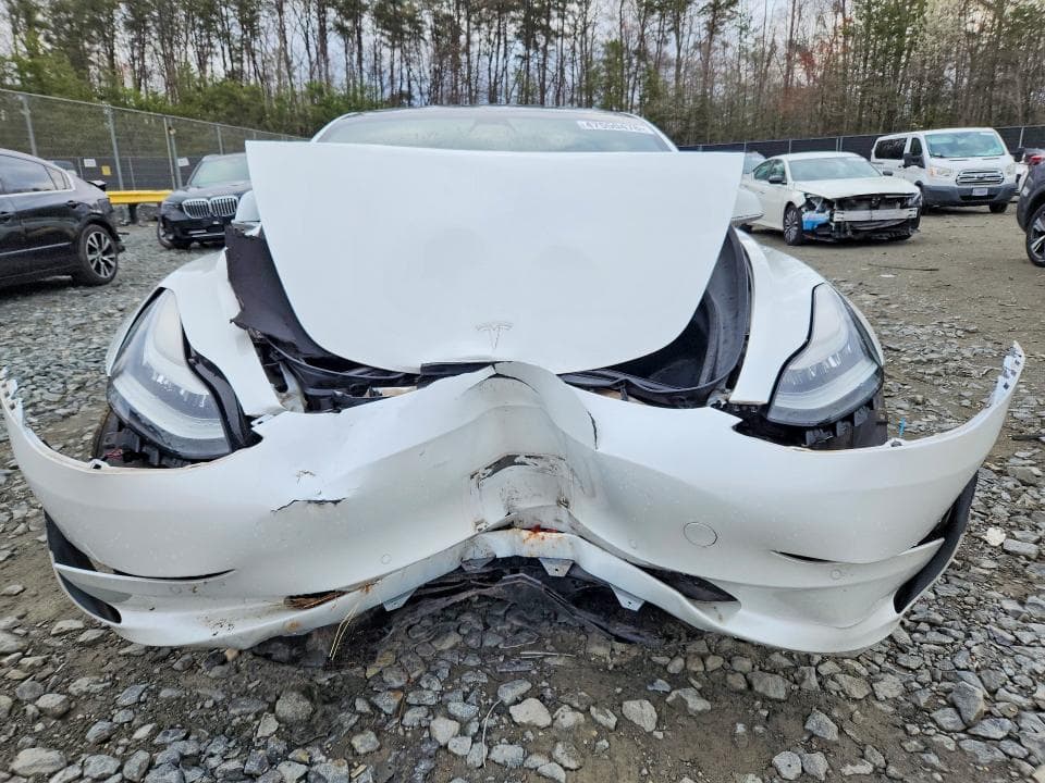 2019 TESLA MDL 3 5
