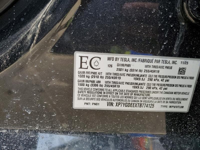 2026 TESLA MODEL Y 12