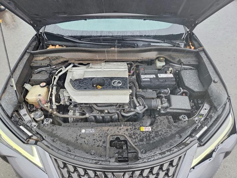 2019 LEXUS UX 200 BASE BASE 11