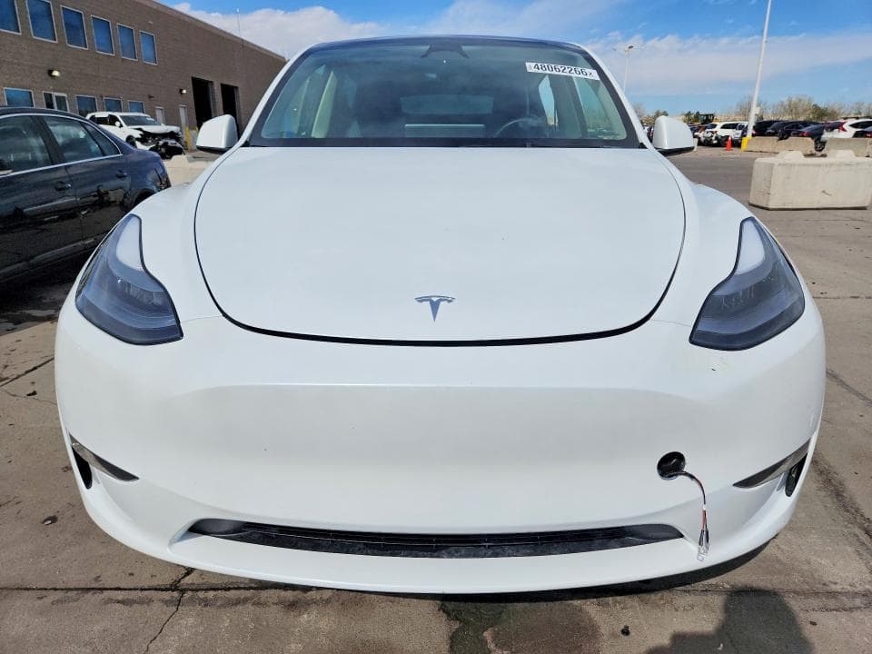 2024 TESLA MODEL Y 6