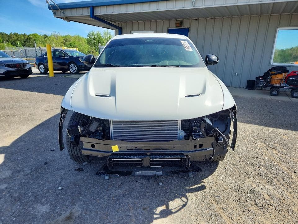 2024 DODGE HORNET R R 5