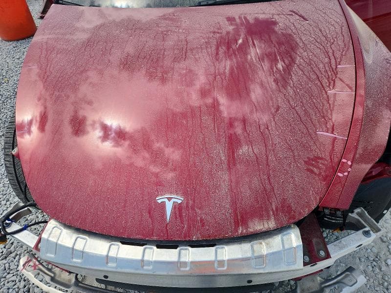 2025 TESLA MODEL Y 11