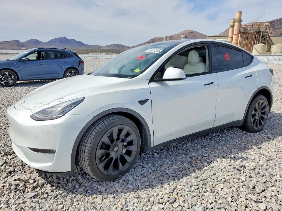 2020 TESLA MODEL Y - 1