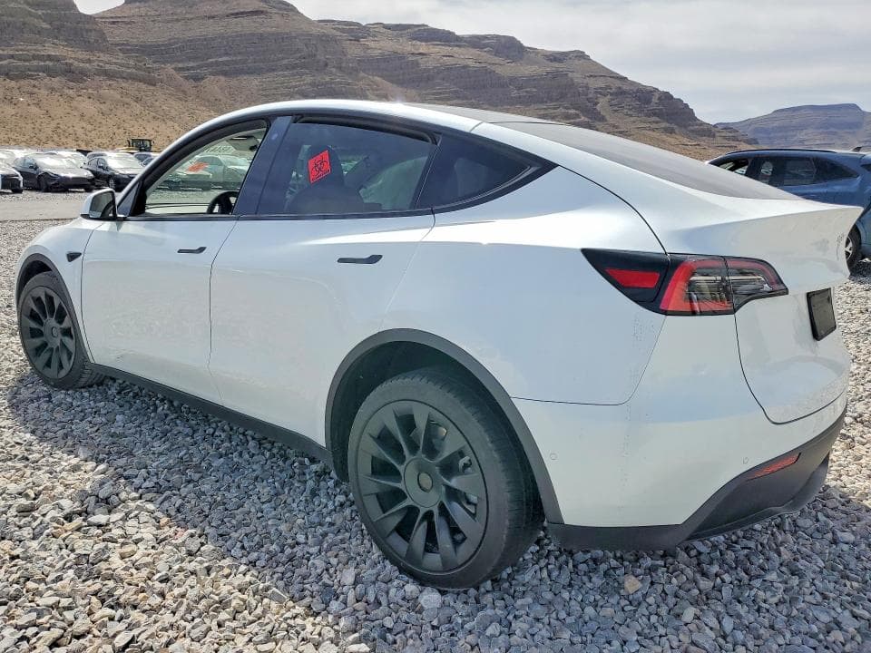 2020 TESLA MODEL Y 2