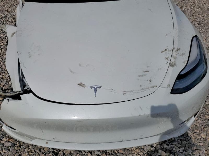 2020 TESLA MODEL Y 11