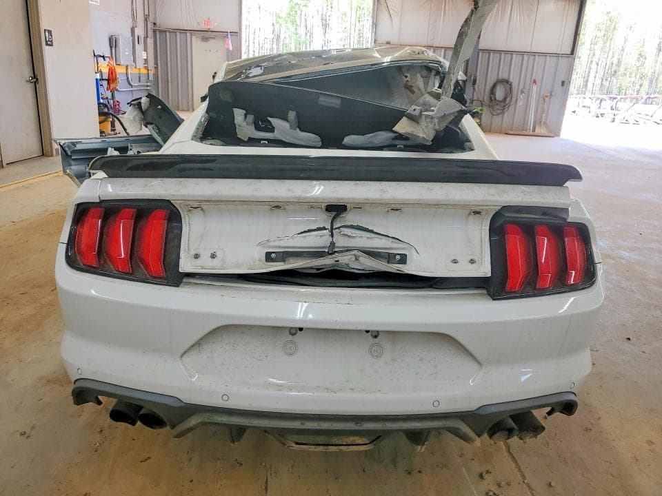 2019 FORD MUSTANG GT GT 6