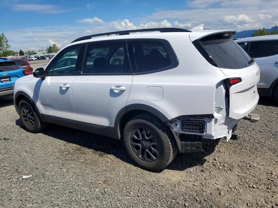 2024 KIA TELLURIDE SX-PRESTIGE X-PRO SX-PRESTIGE X-PRO 2