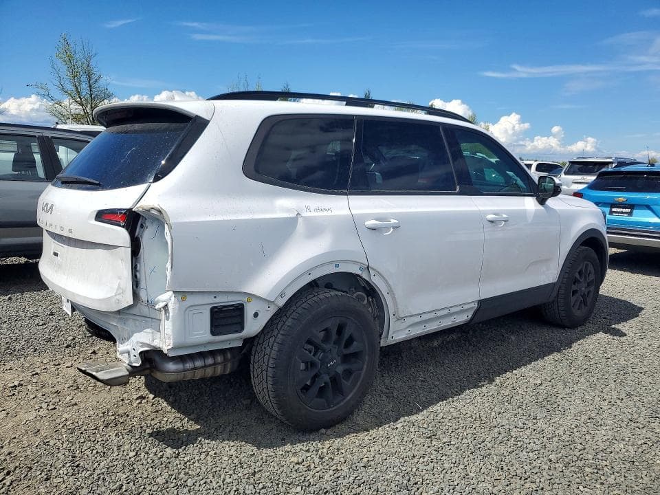 2024 KIA TELLURIDE SX-PRESTIGE X-PRO SX-PRESTIGE X-PRO 3