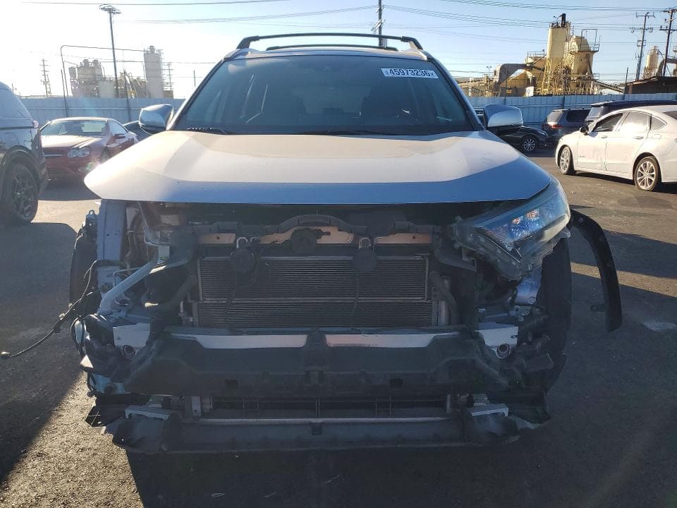 2019 TOYOTA RAV4 HYBD 5