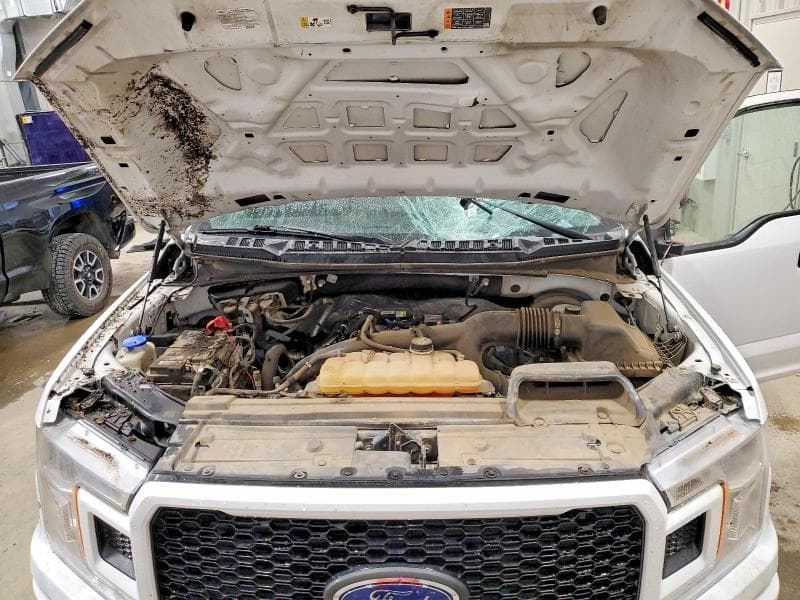 2019 FORD F150 SUPERCREW SUPERCREW 11