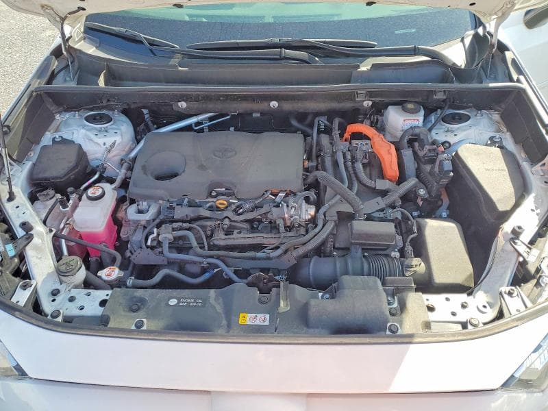 2024 TOYOTA RAV4 LE 12