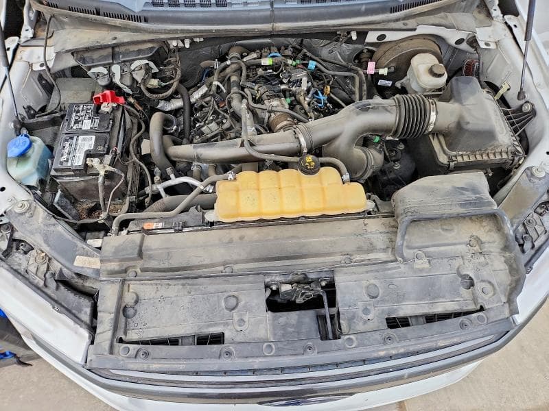 2019 FORD F150 XLT 11
