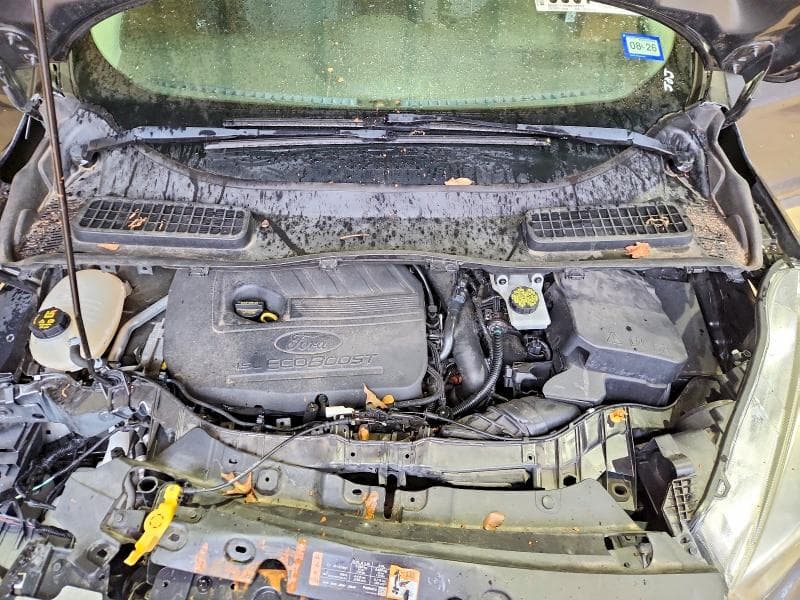 2017 FORD ESCAPE SE 11