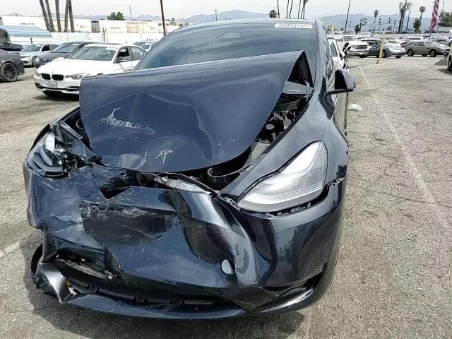 2024 TESLA MODEL Y 14