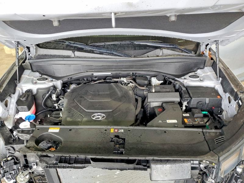 2024 HYUNDAI PALISADE LIMITED 12