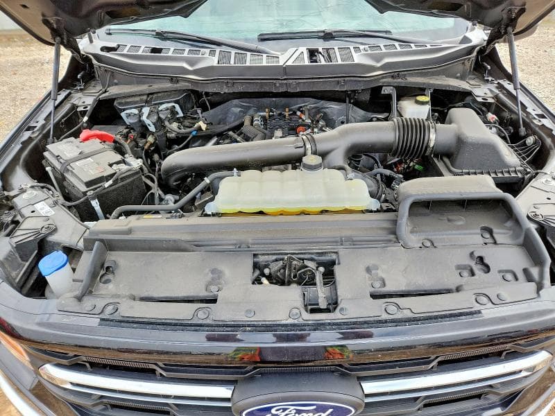2024 FORD F150 XLT 11