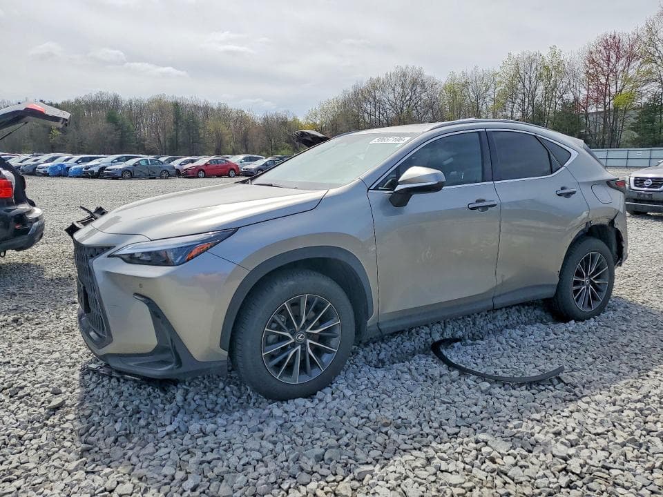 2024 LEXUS NX 350 PREMIUM - 1