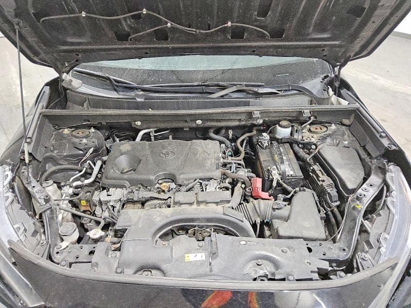 2019 TOYOTA RAV4 LE LE 12