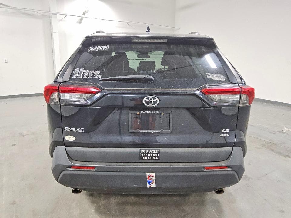 2019 TOYOTA RAV4 LE LE 6