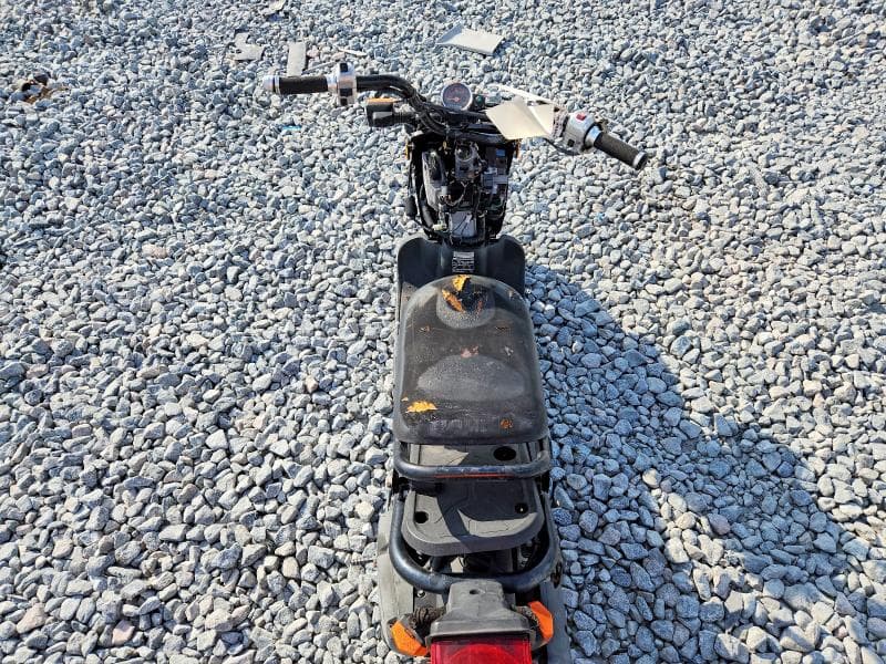 2017 HONDA NPS50 6
