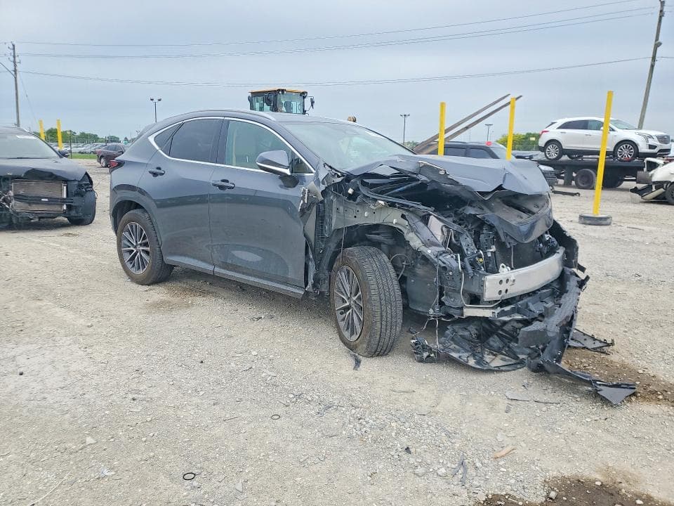 2024 LEXUS NX 250 BASE BASE 4