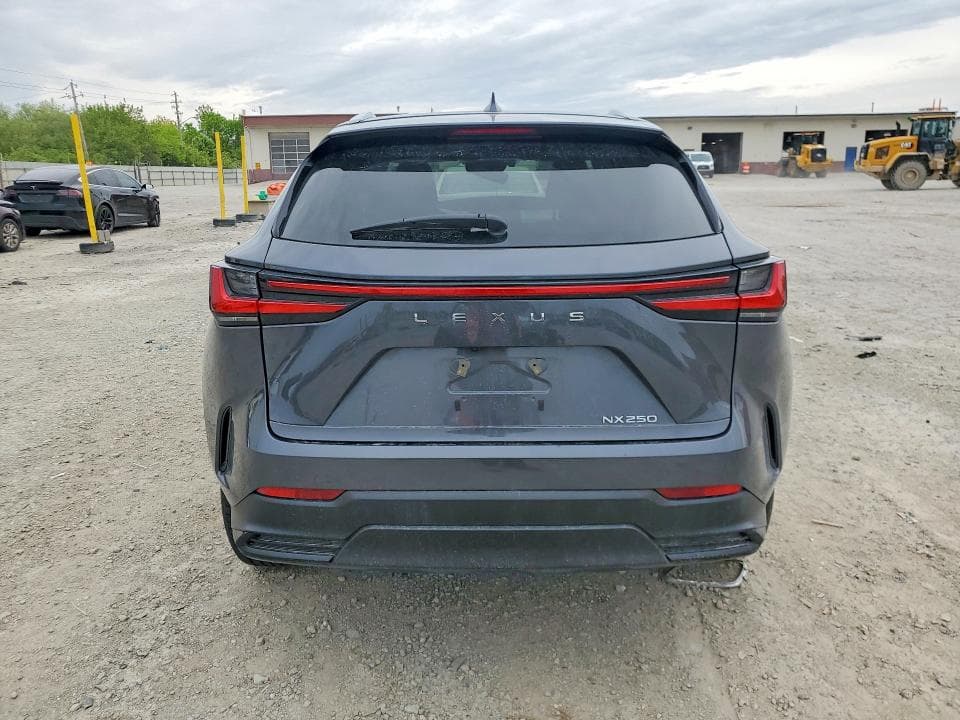 2024 LEXUS NX 250 BASE BASE 6