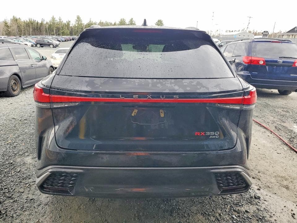2024 LEXUS RX 350 BASE 6