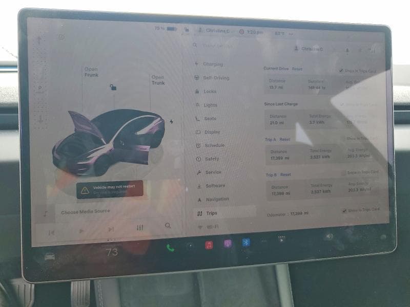 2025 TESLA MODEL 3 9