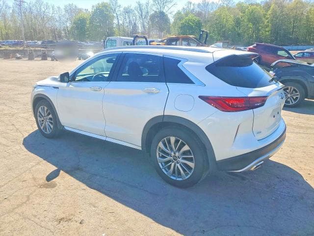 2024 INFINITI QX50 LUXE 2