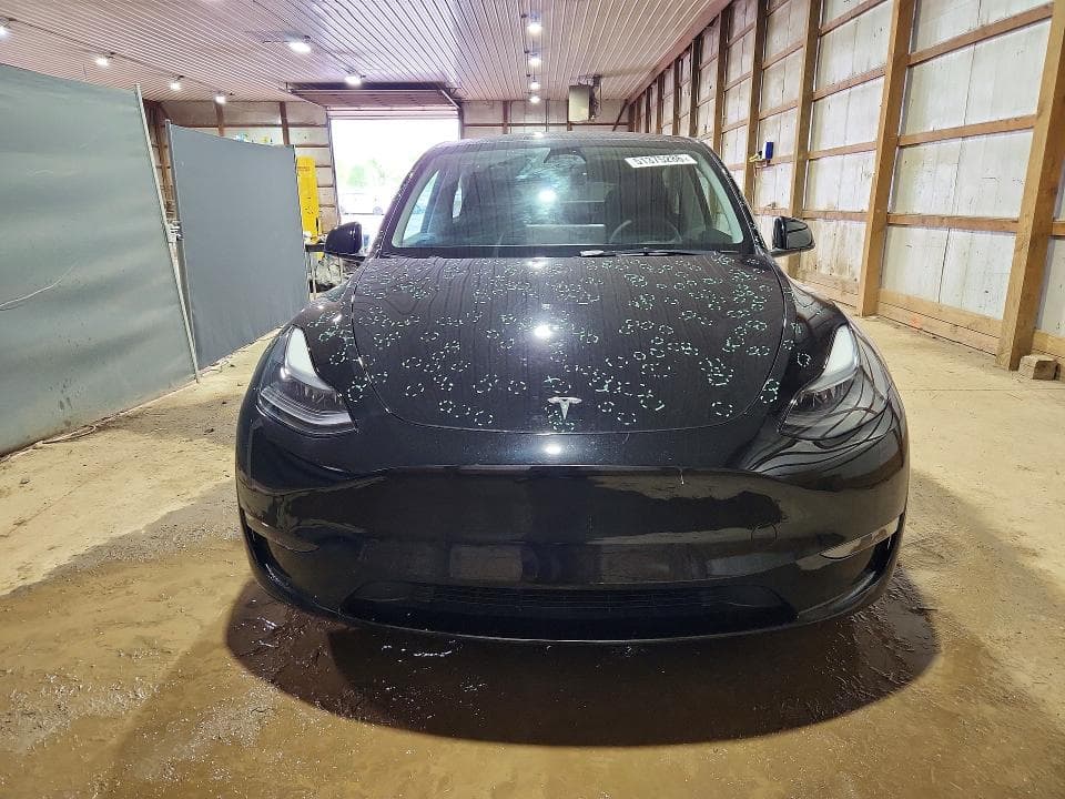 2023 TESLA MODEL Y 5