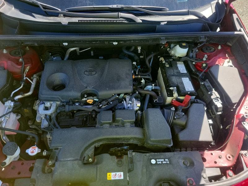 2025 TOYOTA RAV4 XLE 12