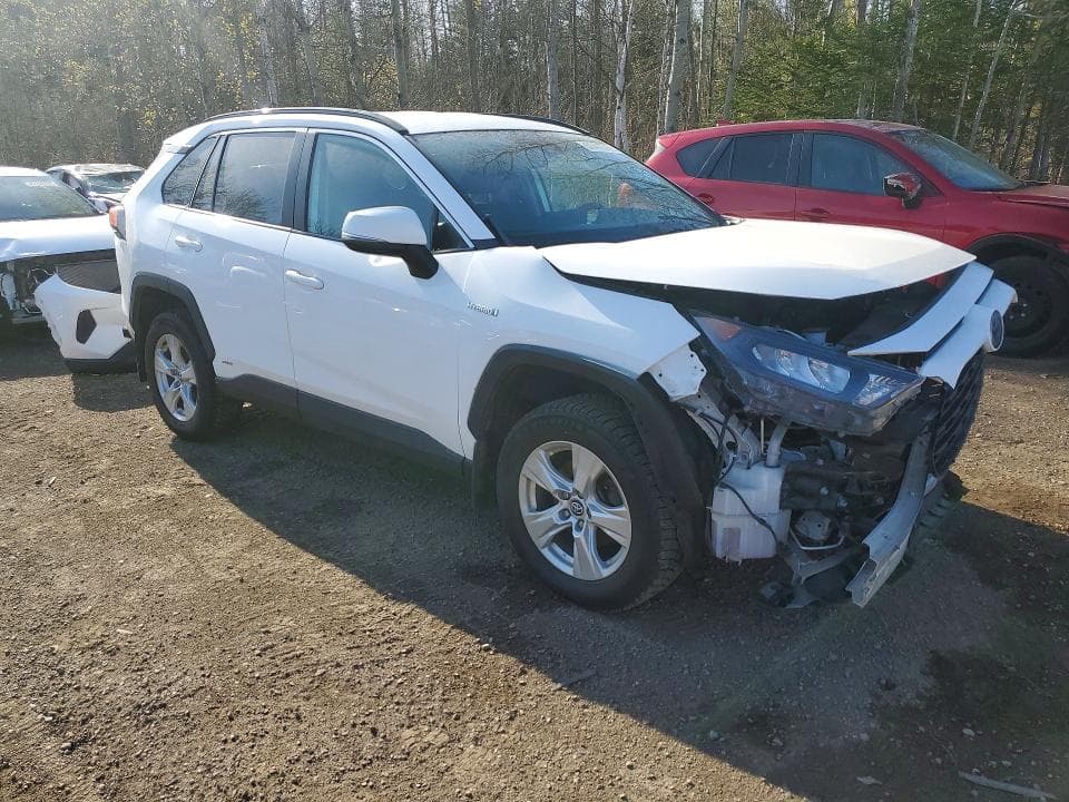 2020 TOYOTA RAV4 LE 4