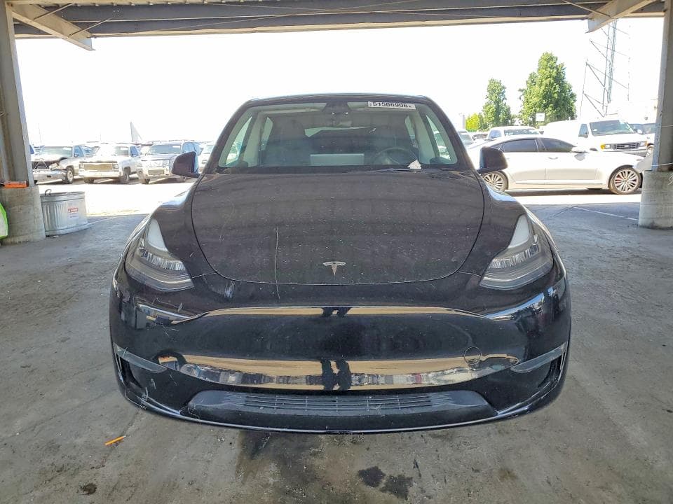 2023 TESLA MODEL Y 5