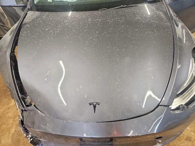 2023 TESLA MODEL Y 12