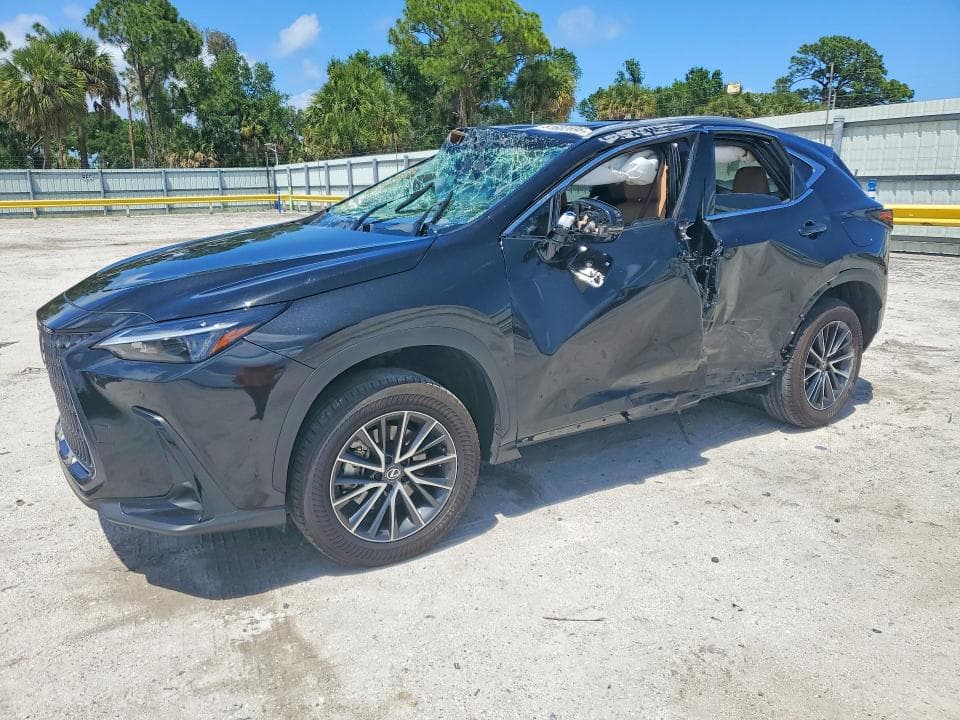 2025 LEXUS NX 250 PREMIUM - 1