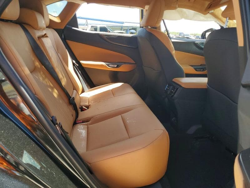 2025 LEXUS NX 250 PREMIUM 11