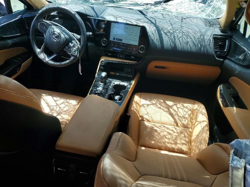 2025 LEXUS NX 250 PREMIUM 8