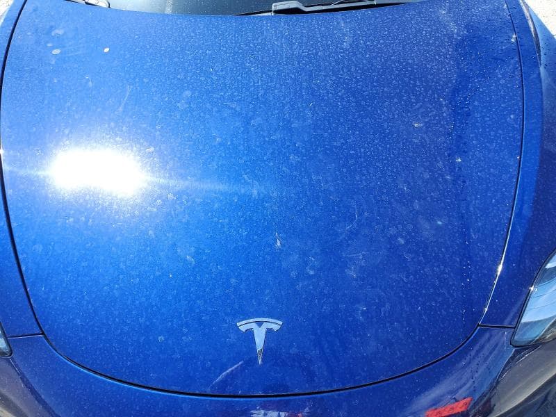 2018 TESLA MODEL 3 11